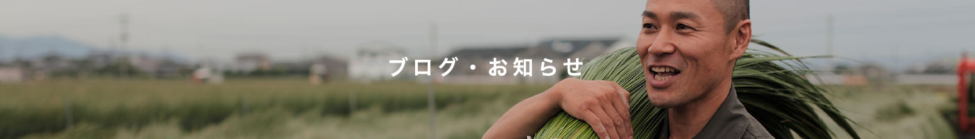 中日新聞三重版に掲載頂きました。